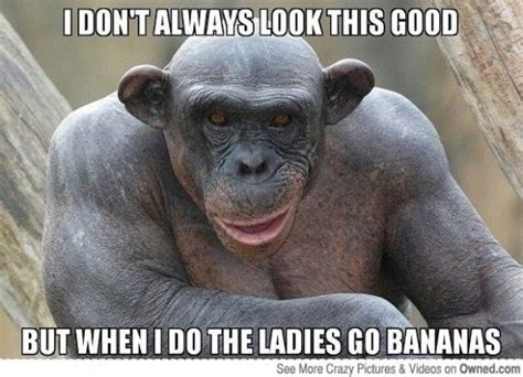 monkey goofy|26 Hilarious Monkey Memes You Can’t Resist Laughing At.